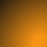 DFS logo