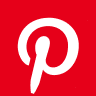 PINS logo